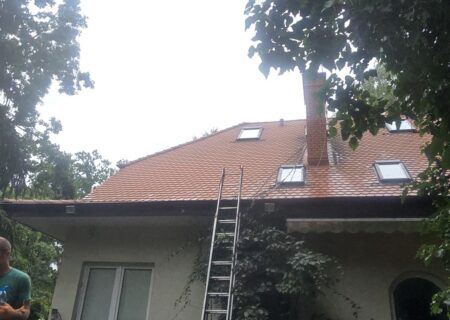 czyszczenie rynien i mycie dachu